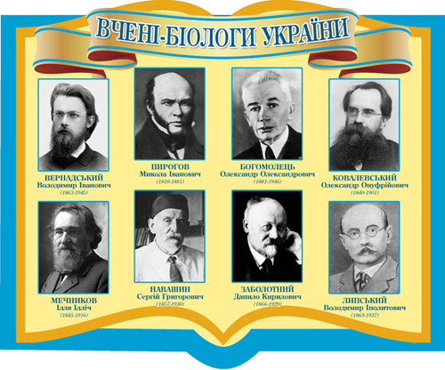 портрети біологів, стенди в кабінет біології, вчені-біологіи України,